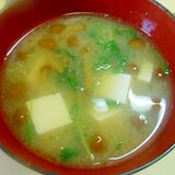 なめこ・豆腐・豆苗の味噌汁☆